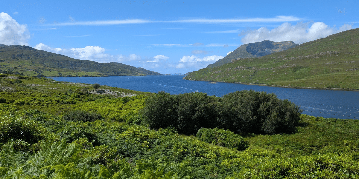 View of Killary Harbour on Rico Rally